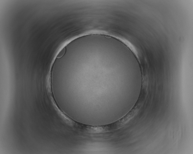 X0000110760911200906151303