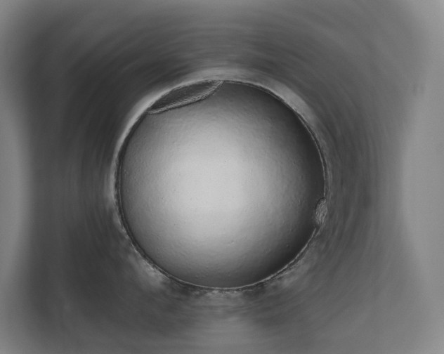 X0000110760912200906151303