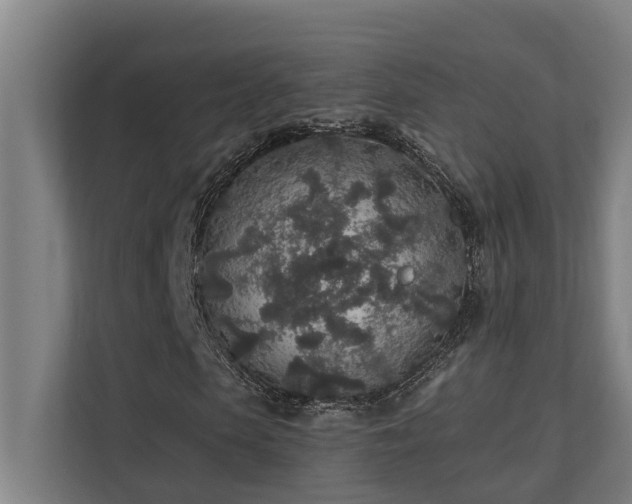 X0000110760913200906151302