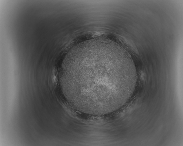 X0000110760914200906151302