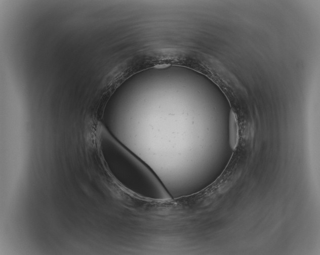 X0000110760916200906151302