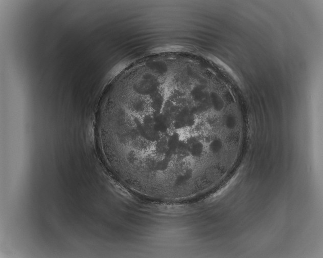 X0000110760921200906151303