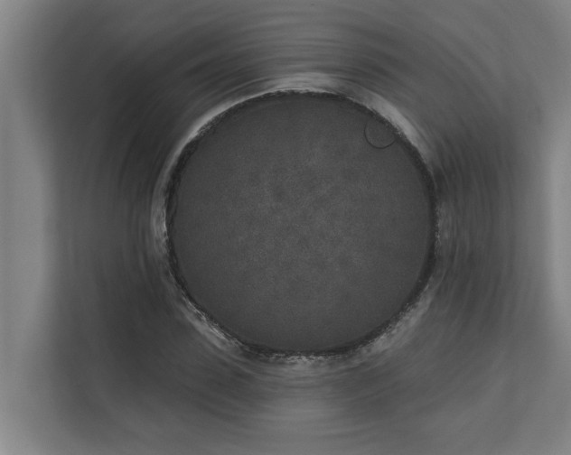 X0000110760923200906151303