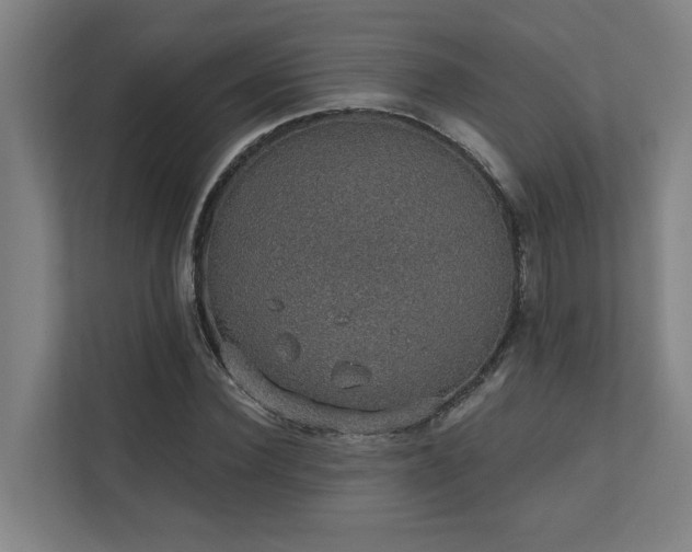 X0000110760924200906151303