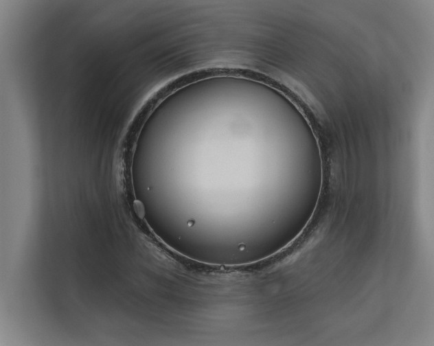 X0000110760926200906151303