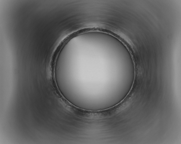 X0000110760927200906151303