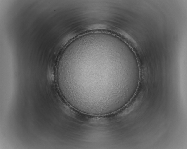 X0000110760929200906151303