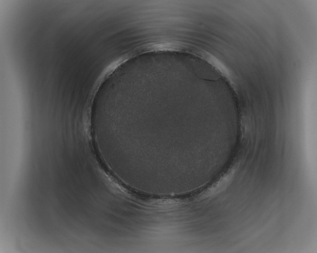 X0000110760930200906151303