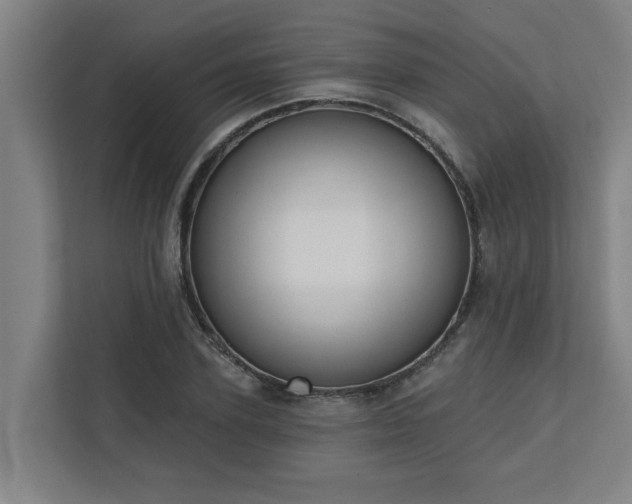X0000110760931200906151303