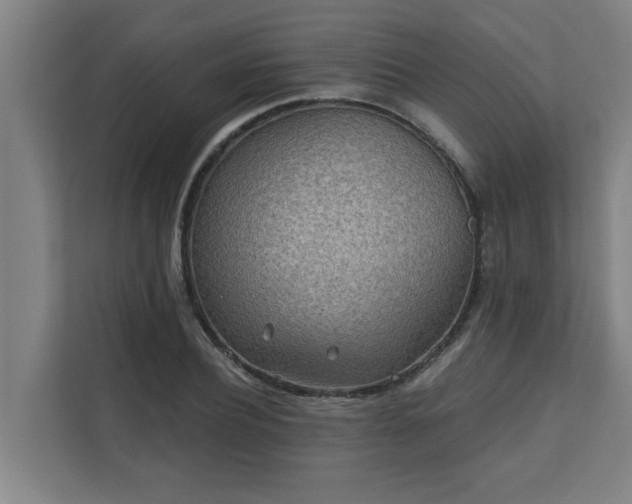 X0000110760932200906151303