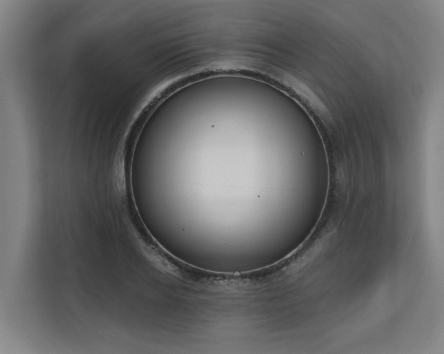 X0000110760934200906151303