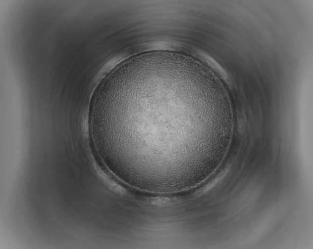 X0000110760938200906151303