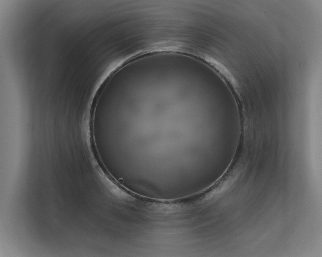 X0000110760941200906151303