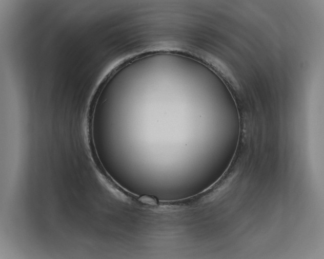 X0000110760942200906151303