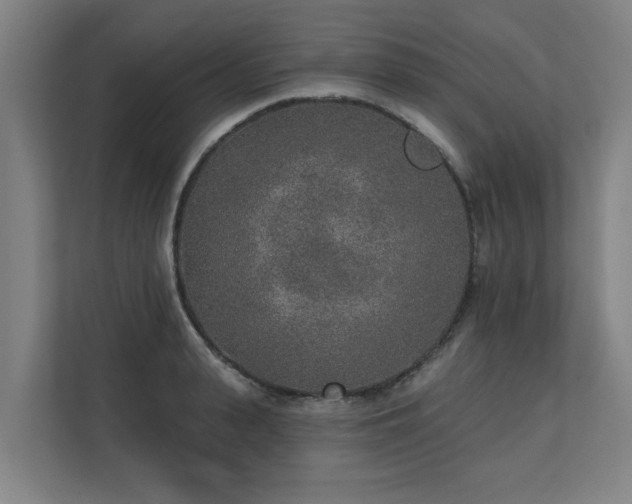 X0000110760943200906151303