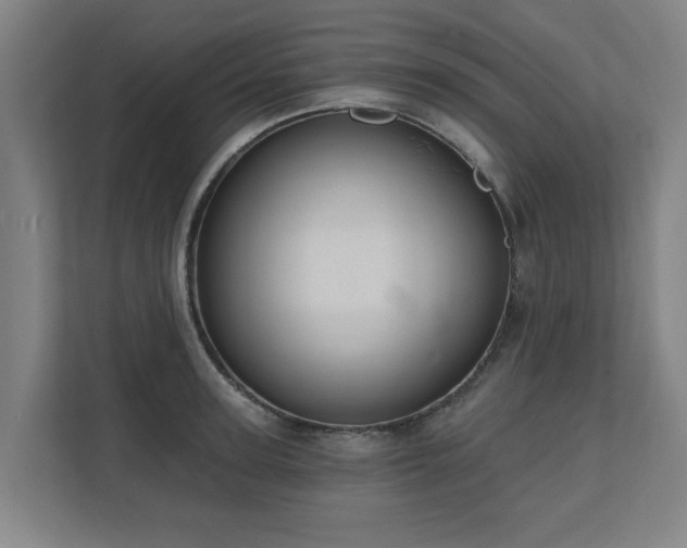 X0000110760947200906151303