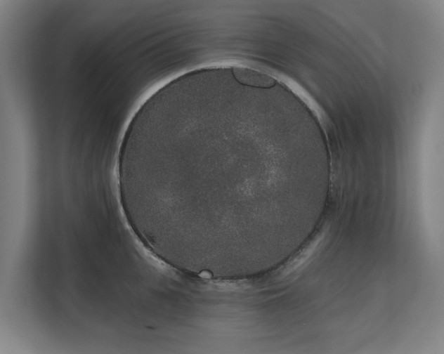 X0000110760951200906151303
