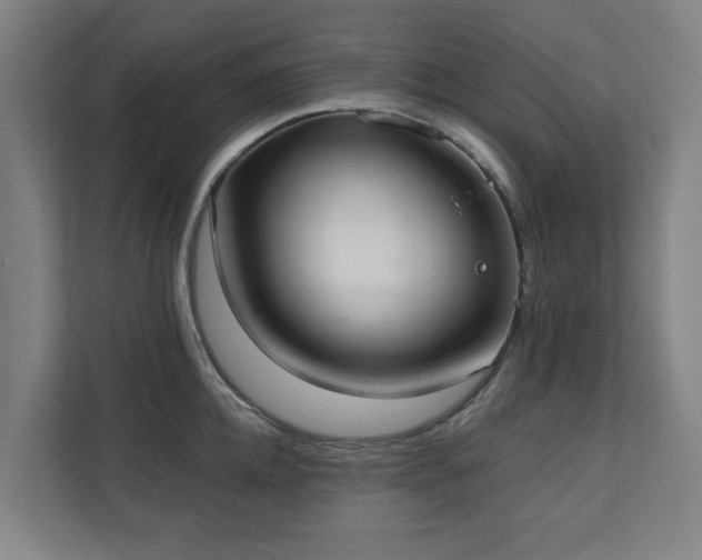 X0000110760952200906151303
