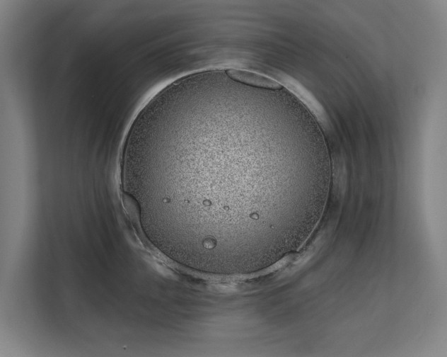 X0000110760956200906151303
