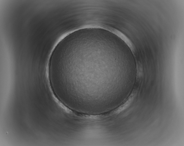 X0000110760958200906151303
