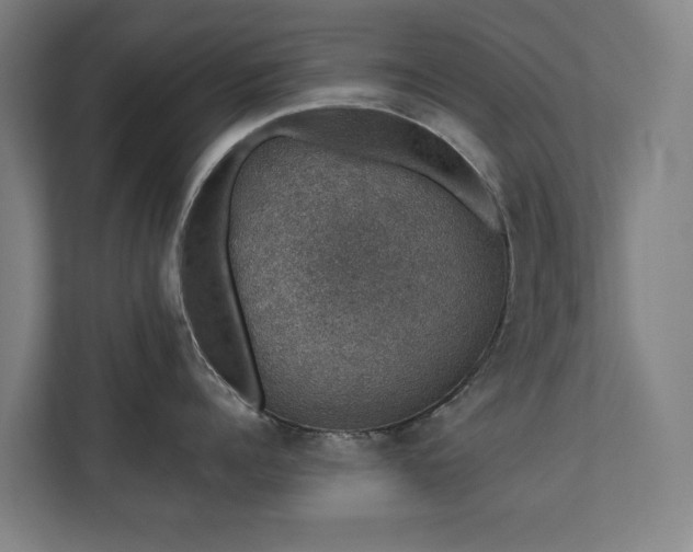 X0000110760960200906151303