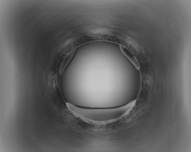 X0000110760965200906151302