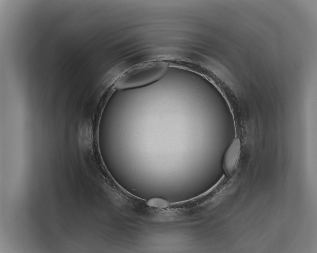 X0000110760969200906151302