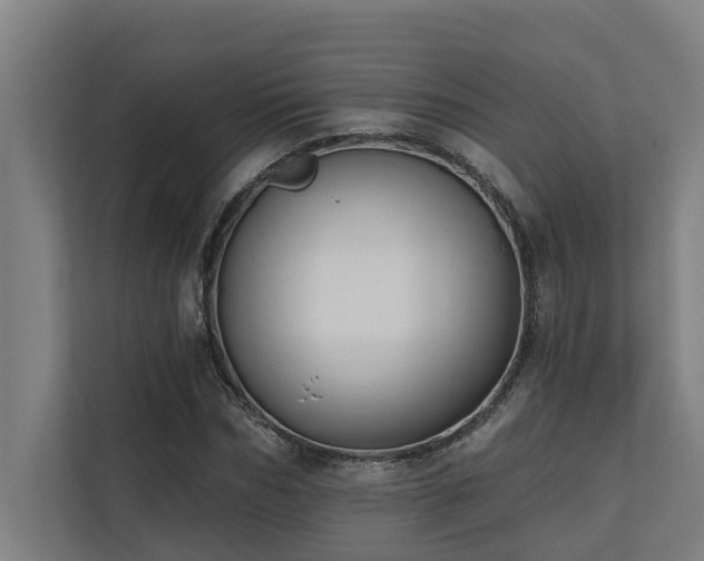 X0000110760970200906151302