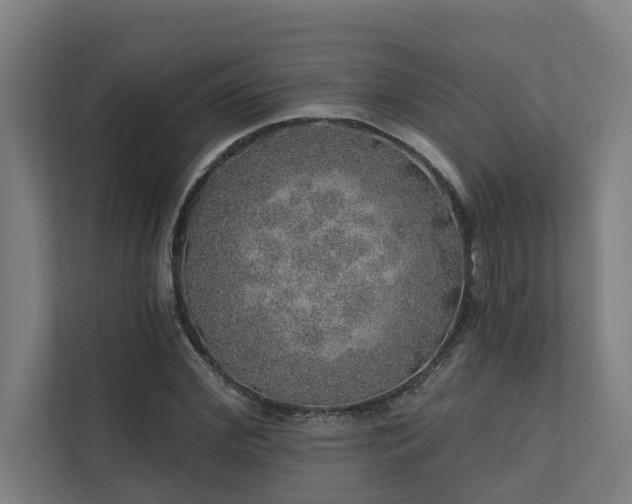 X0000110760972200906151302