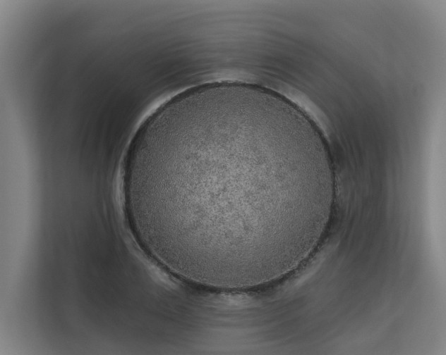 X0000110760983200906151302