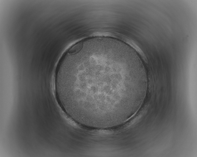 X0000110760984200906151302