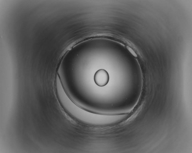 X0000110760985200906151302