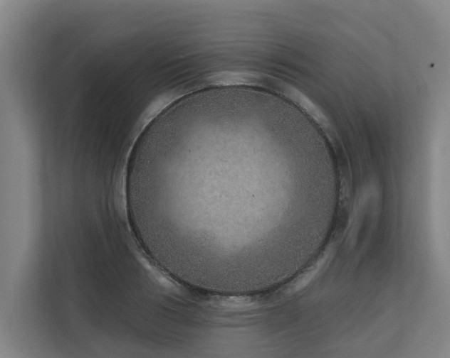X0000110760986200906151302