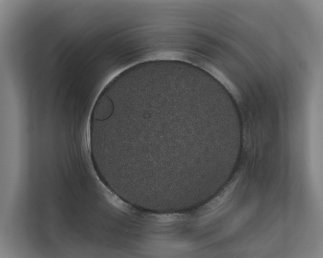 X0000110760988200906151302