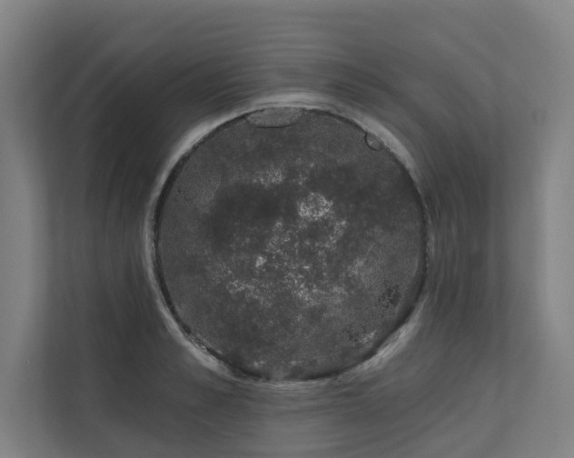 X0000110760989200906151302