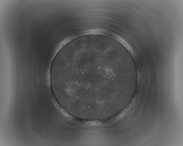 X0000110760994200906151302
