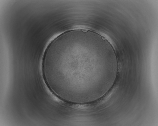X0000110760995200906151302