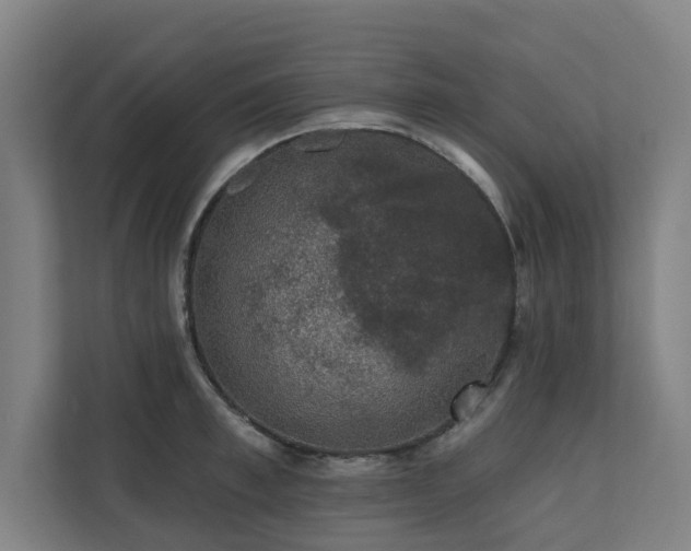X0000110760997200906151302