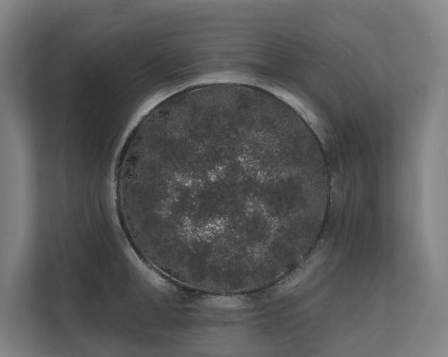 X0000110760998200906151302