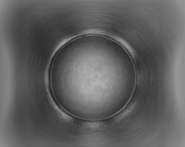 X0000110760999200906151302