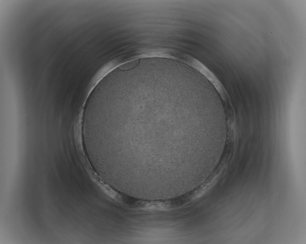 X0000110761002200906151302