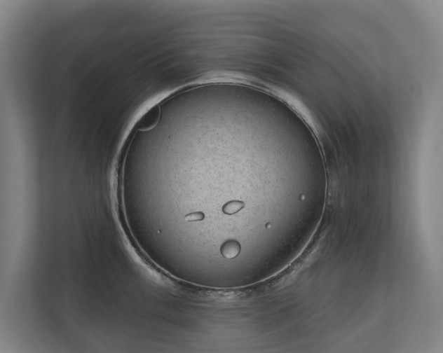 X0000110761003200906151302