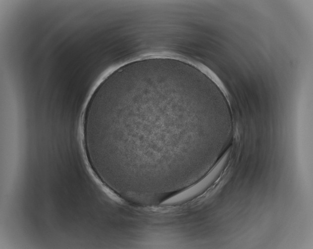 X0000110761005200906151302