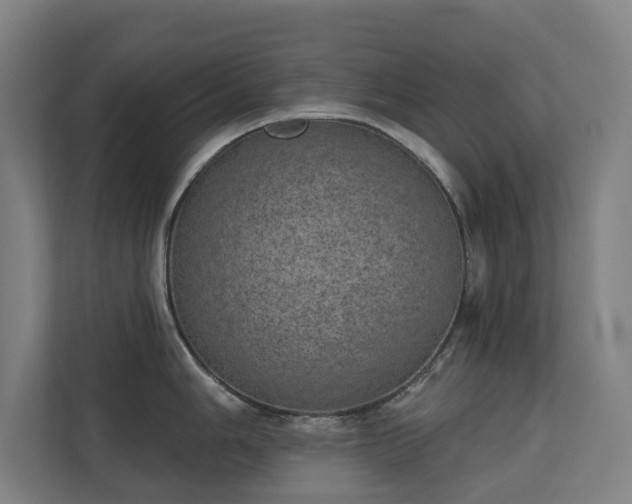 X0000110761006200906151302