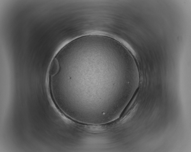 X0000110761007200906151302