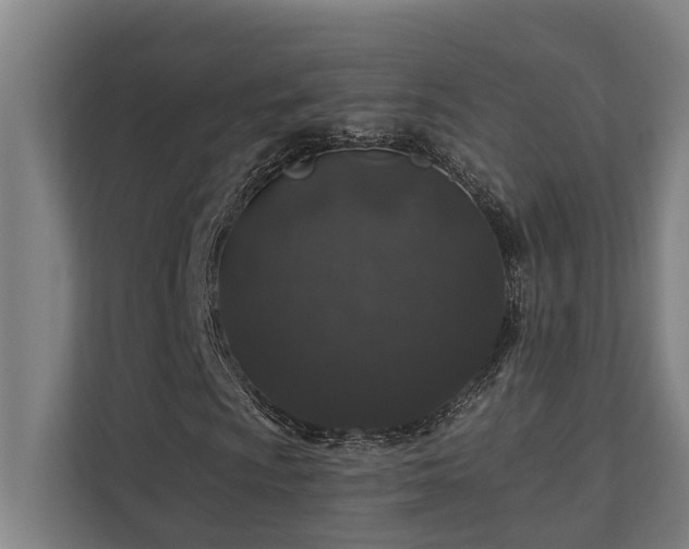 X0000110761009200906151301