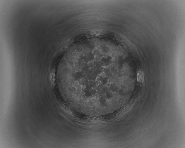 X0000110761011200906151301