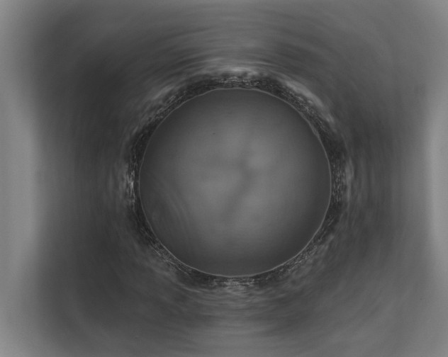X0000110761013200906151301