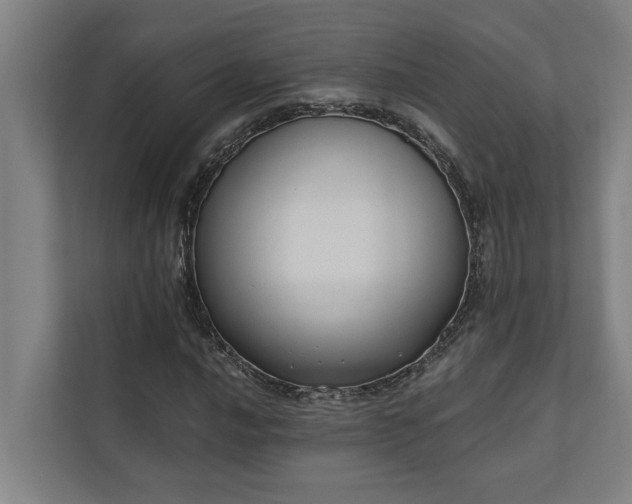 X0000110761016200906151301