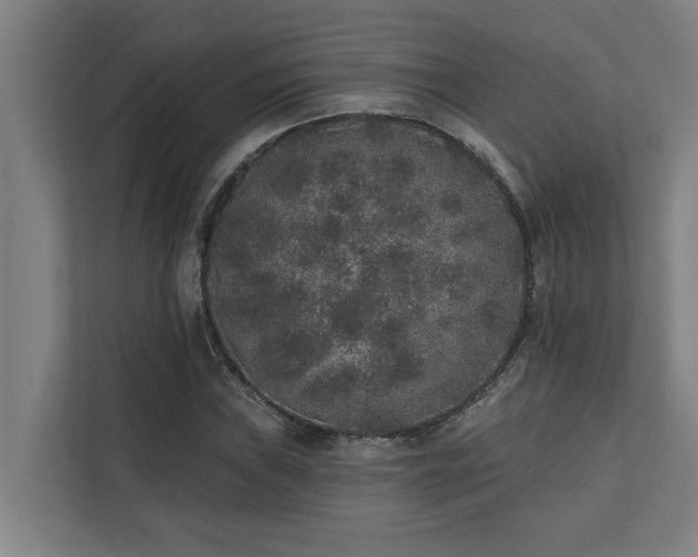 X0000110761019200906151301